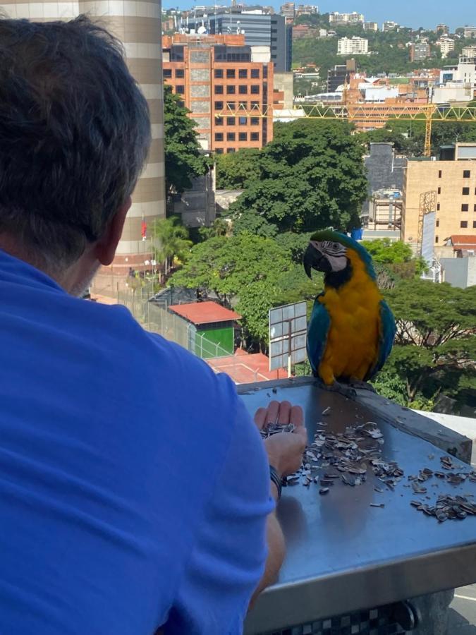 Ololo Caracas B&B エクステリア 写真